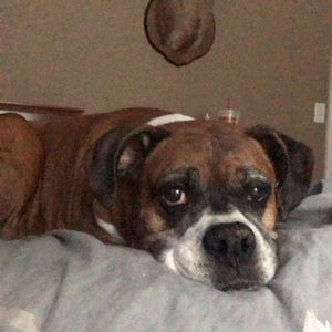 Meet your Posher, Mitchell